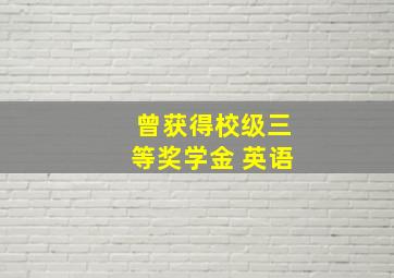 曾获得校级三等奖学金 英语